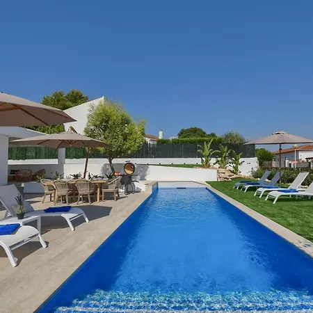 Abeto Javea